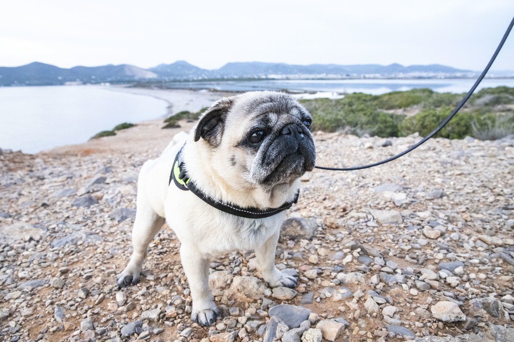 Photograph by Carmen Vich