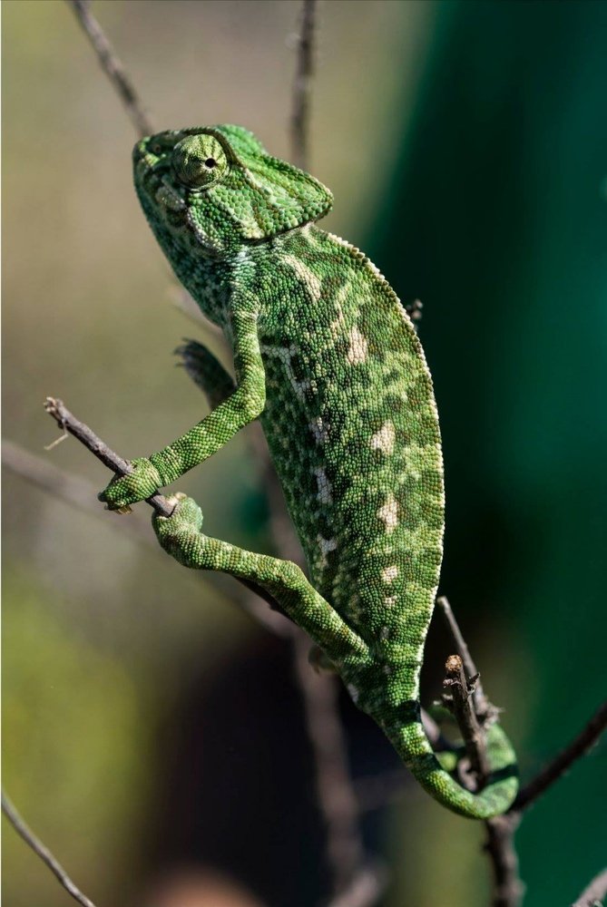 Photograph by Duda Dias