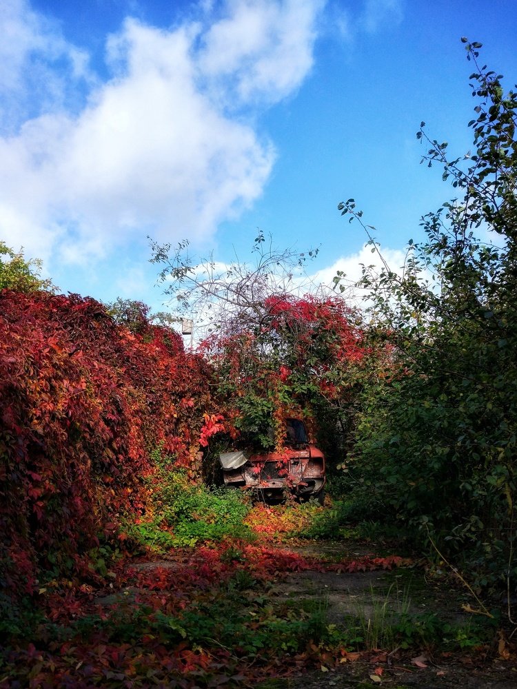 Photograph by Вячеслав Рудинский