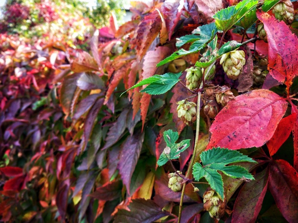 Photograph by Вячеслав Рудинский