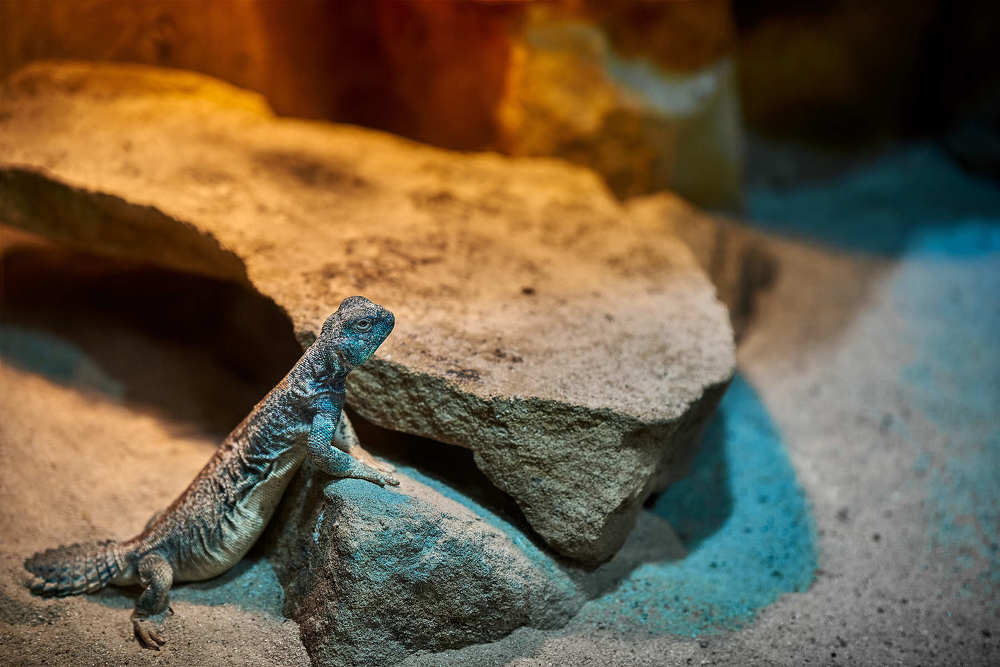 Photograph by Юрий