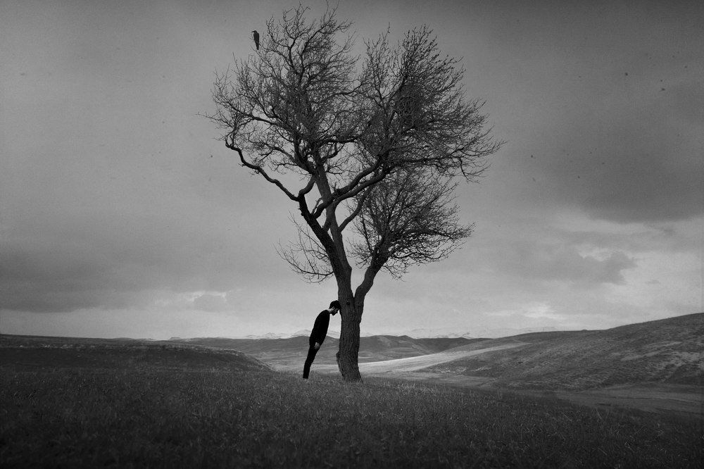 Root