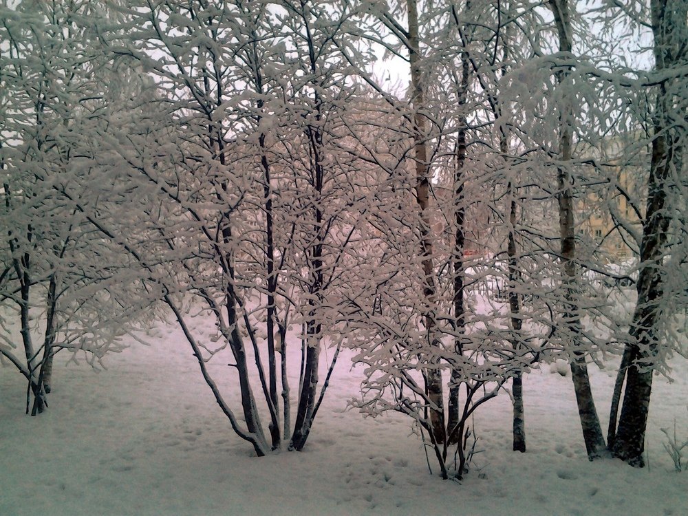 Photograph by Светлана Громова