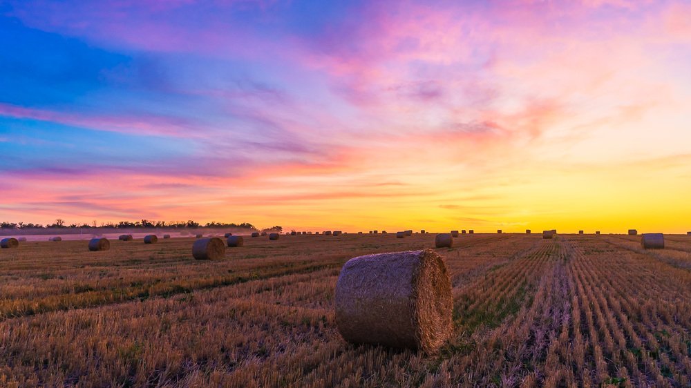 Вечерняя заря.