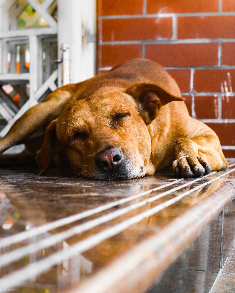 Photograph by C R ABHIMANYU ABHIMANYU