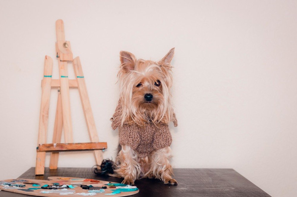 Photograph by Беловодченко 