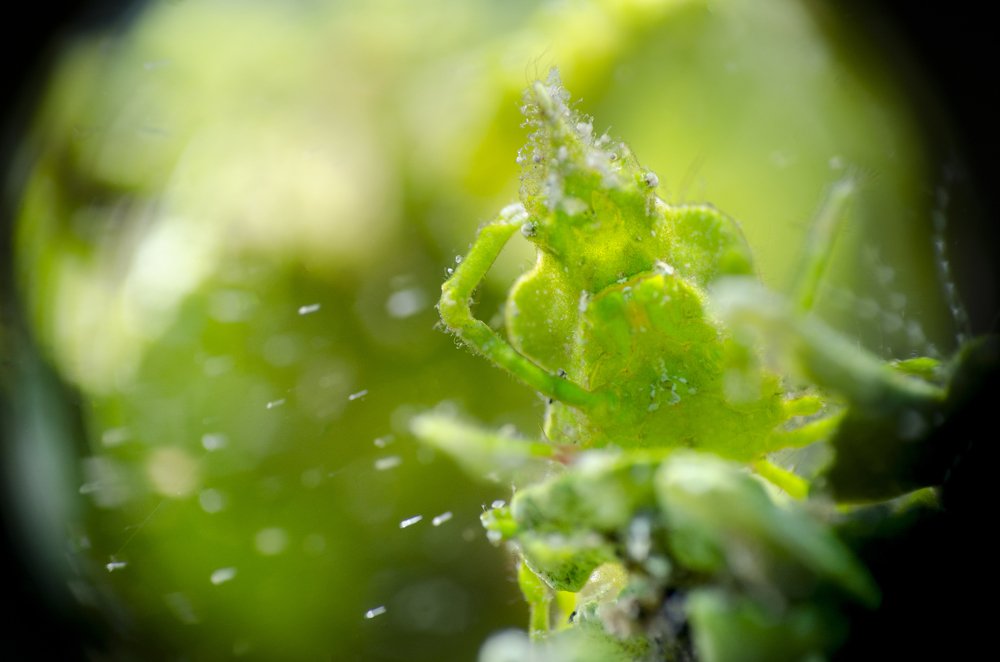 Photograph by EELIN Chan