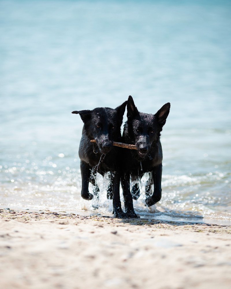 Photograph by Юлия Наволоцкая