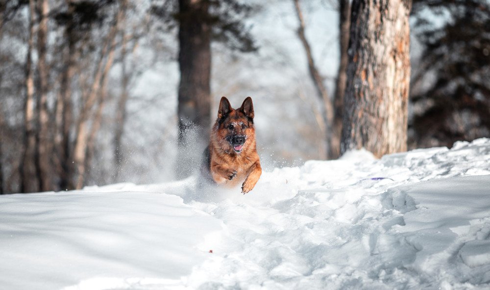 Photograph by Юлия Наволоцкая