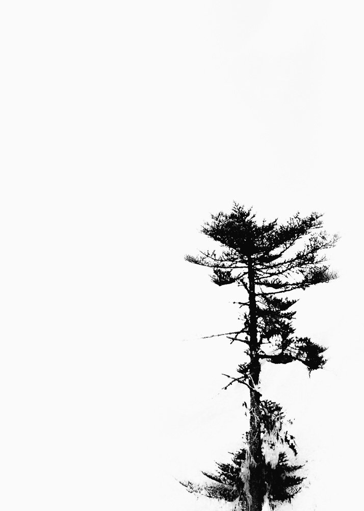 Photograph by Anil Prabhudev