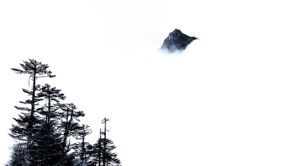 Photograph by Anil Prabhudev