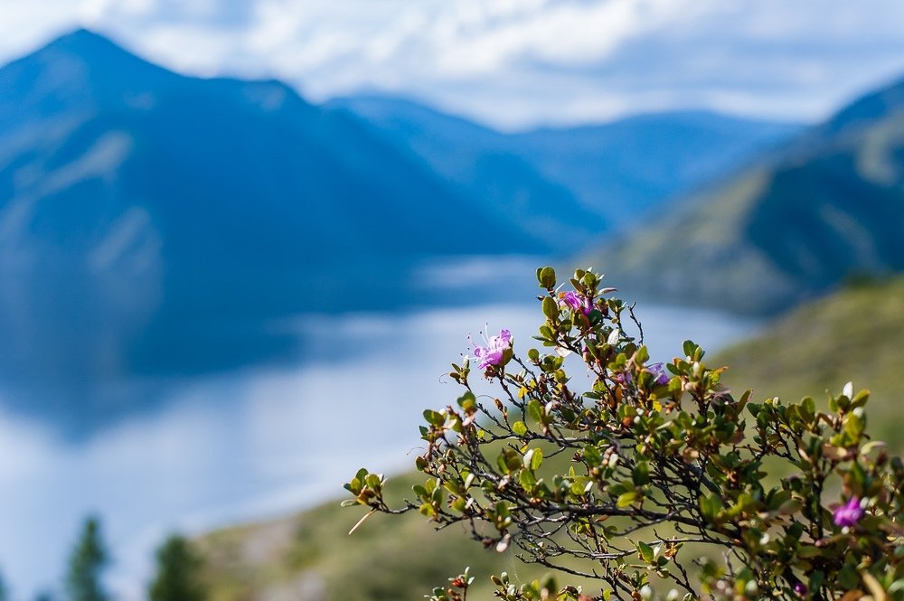 Photograph by Наталья Лобкова