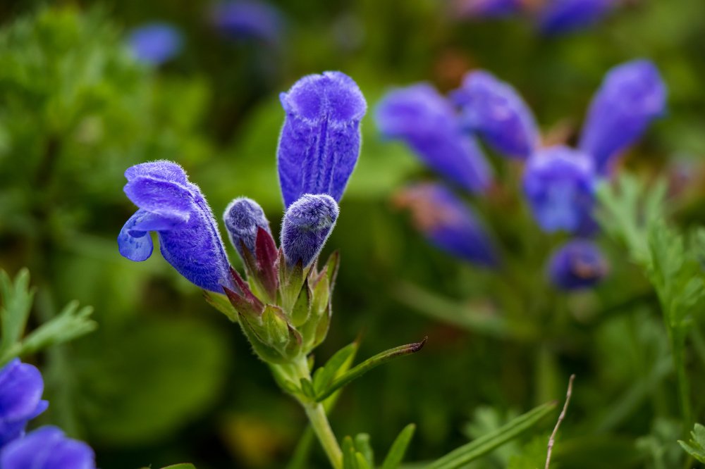 Photograph by Evgeniia Iakimenko