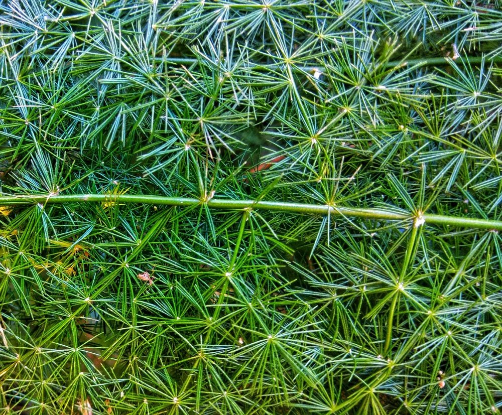 Photograph by Dian Putera