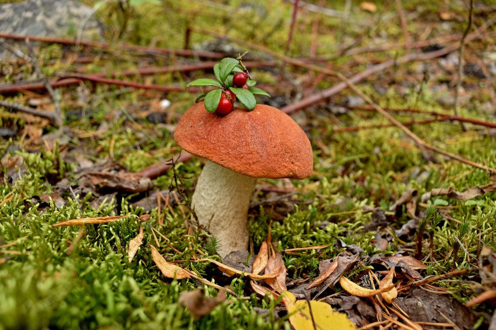 Photograph by Илья Сандлер