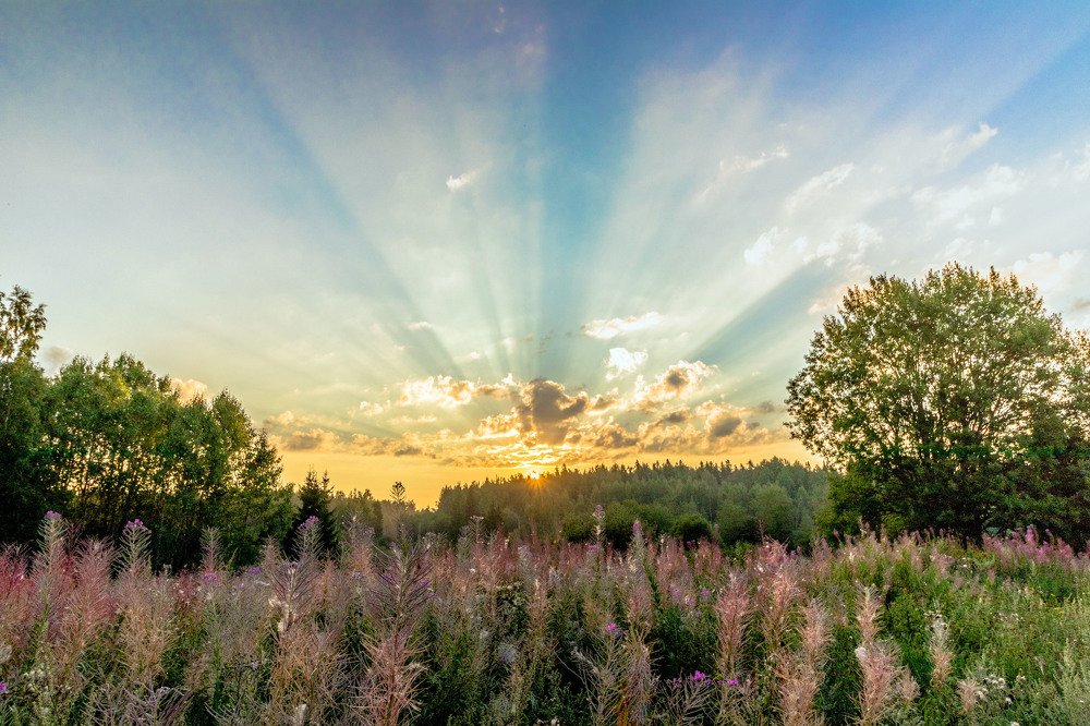 Photograph by Andrey Lesnik