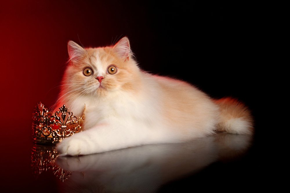 Photograph by Инга Стрижаченко