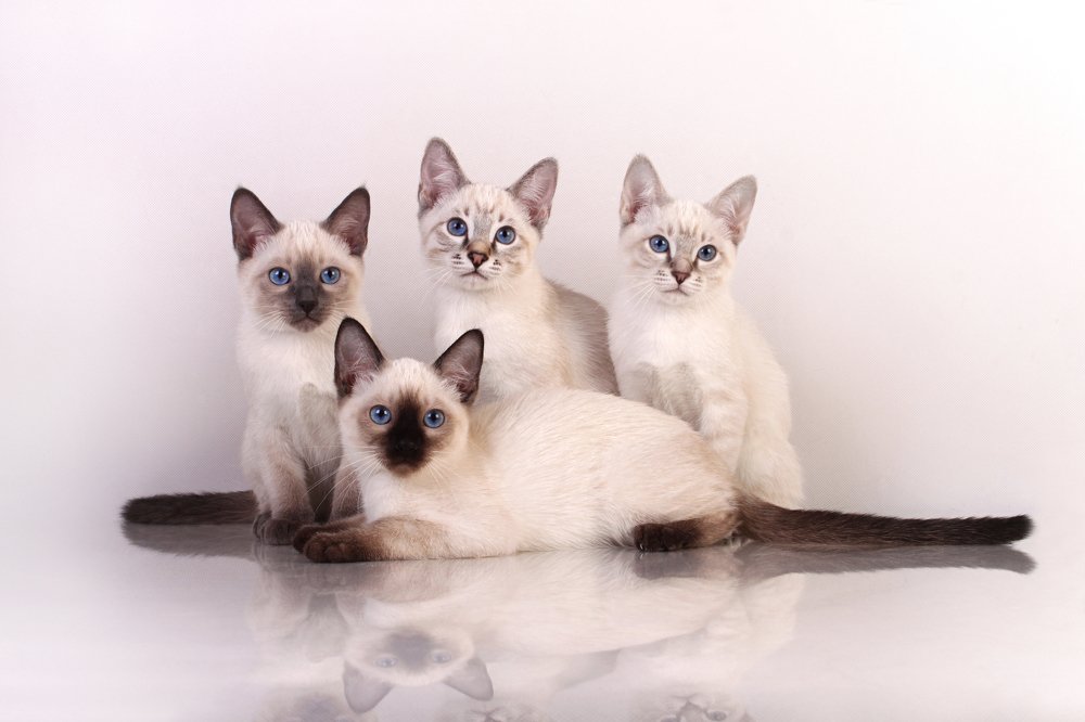 Photograph by Инга Стрижаченко