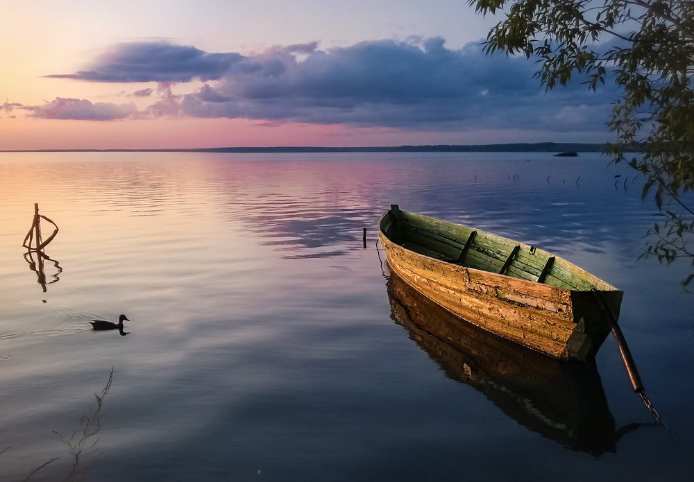 Photograph by Елена Пестрикова