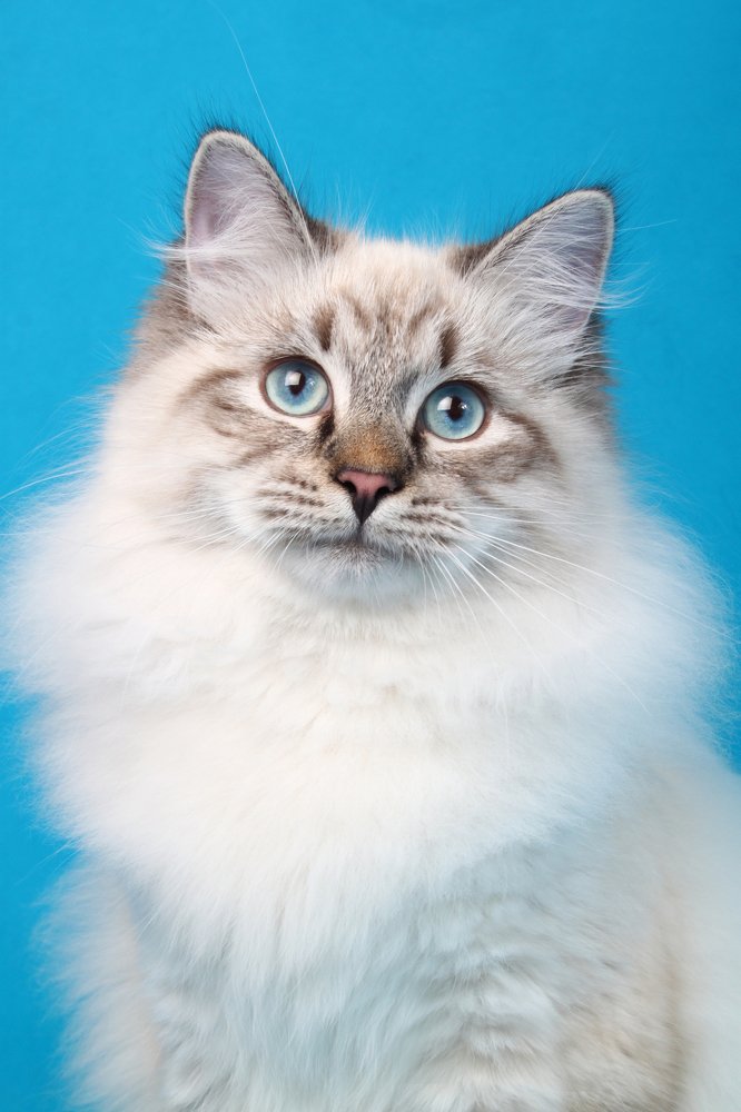 Photograph by Инга Стрижаченко