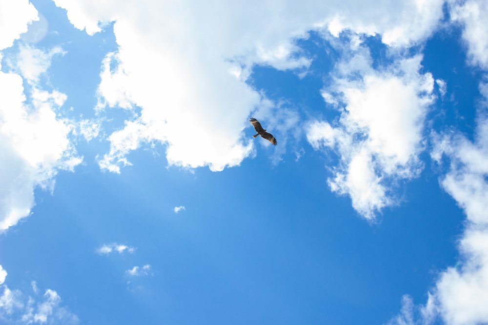 Иллюзия свободы