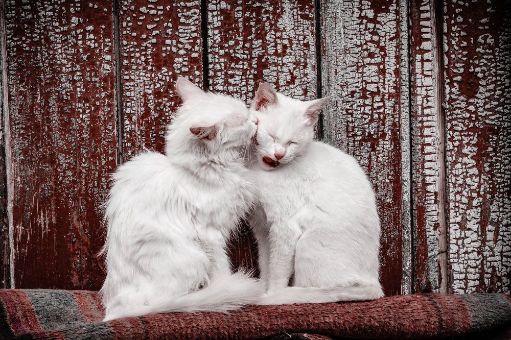 Фотография автора Anton Kravtsov