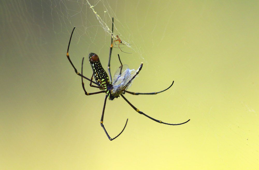 Photograph by Sanjay Danait