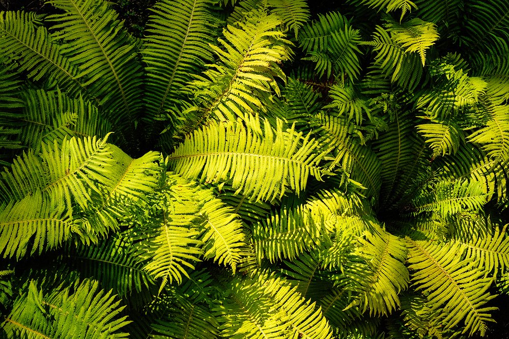 Photograph by Александр Скибицкий