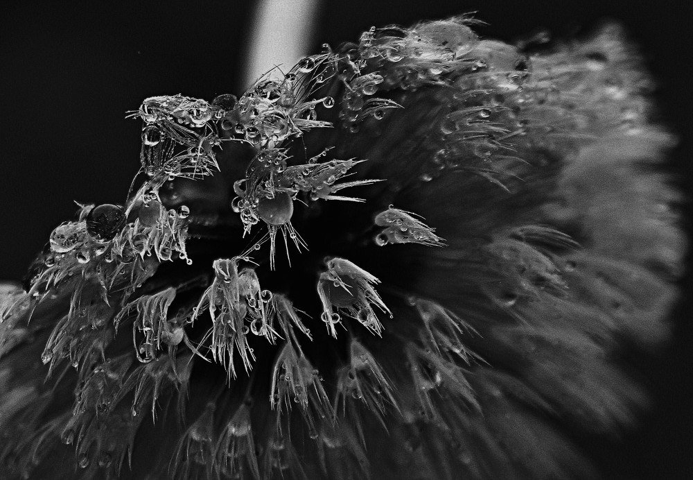 Осенний салют.