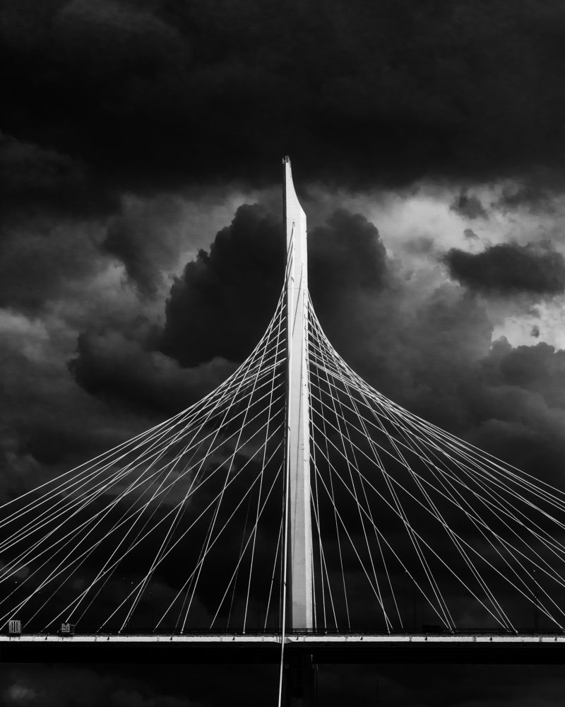 Фотография автора Мартыненко Дмитрий