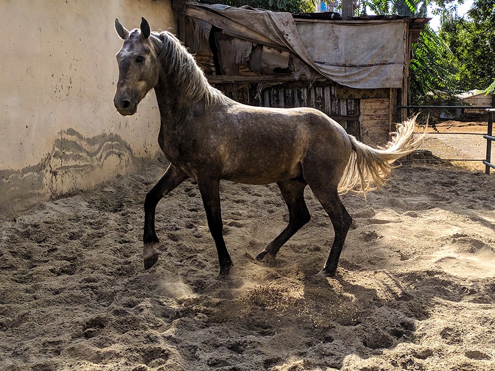 Photograph by Анна Шац