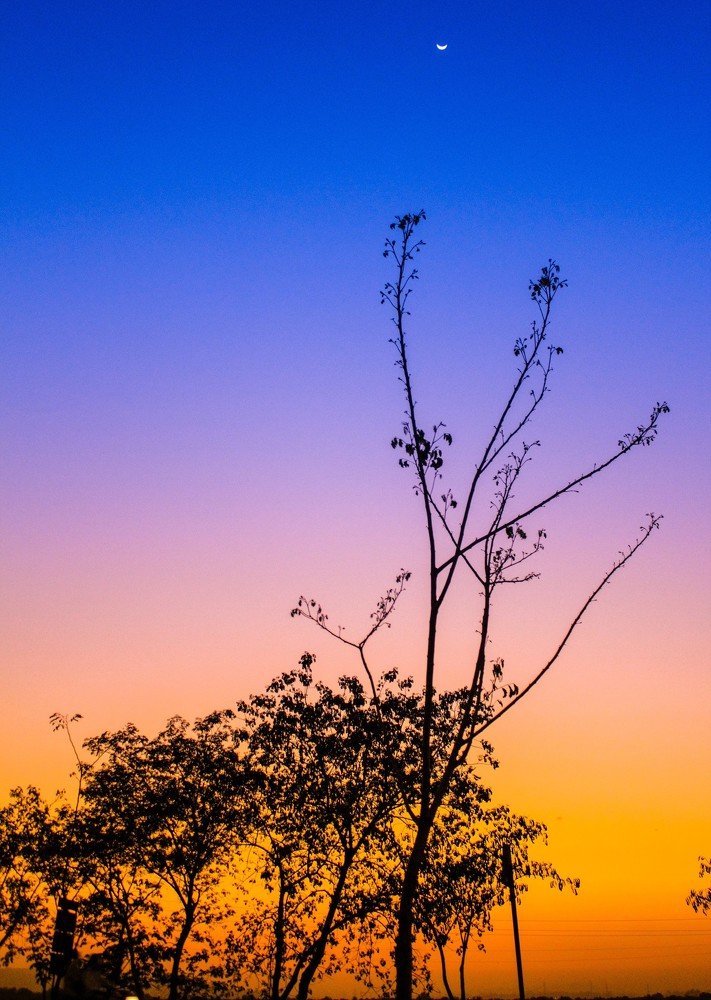 Photograph by Anupam More