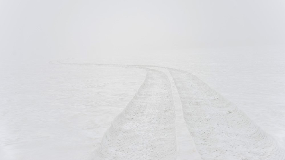 По белому снегу