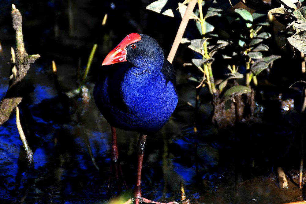 Photograph by Kelly Vivian