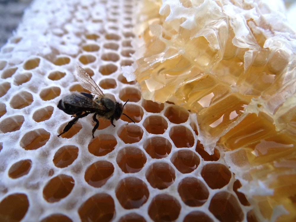 медовый десерт