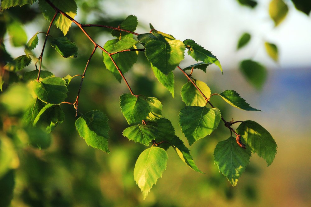 Photograph by Наталия Клишина