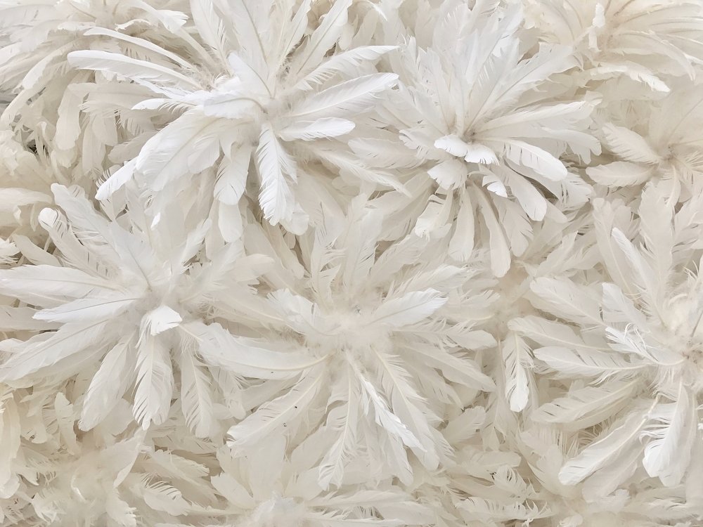 Photograph by Yng-Jaw Jiing