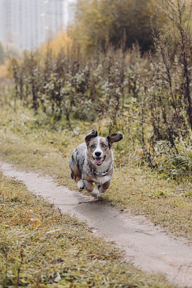 Photograph by Мария Калинина