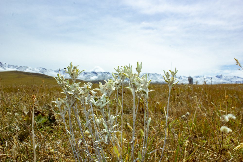 Photograph by Максим Грищенко