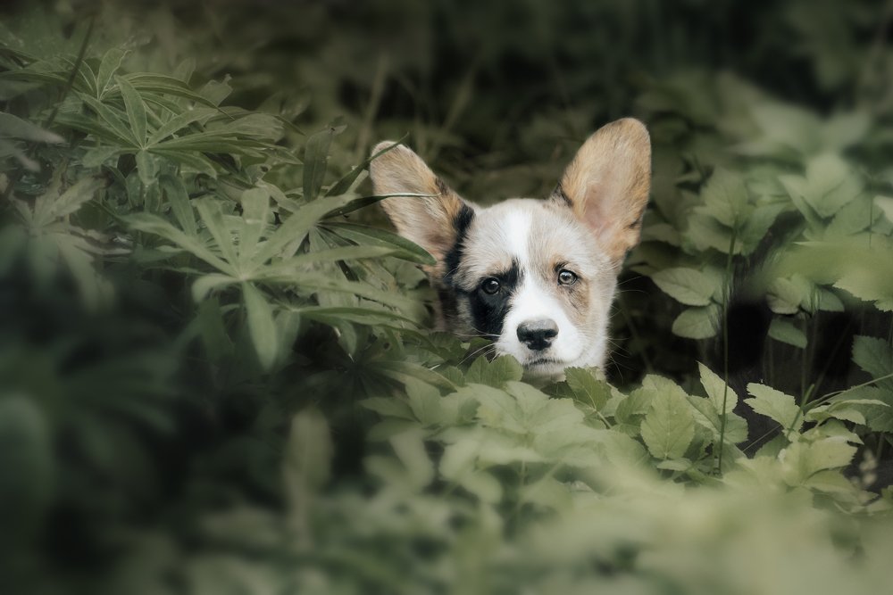 Photograph by Мария Калинина