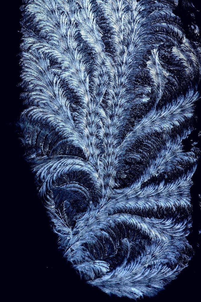 Дыхание Снежной королевы