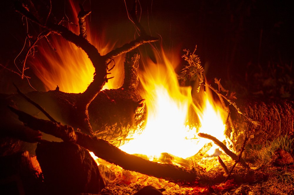 Photograph by Максим Грищенко