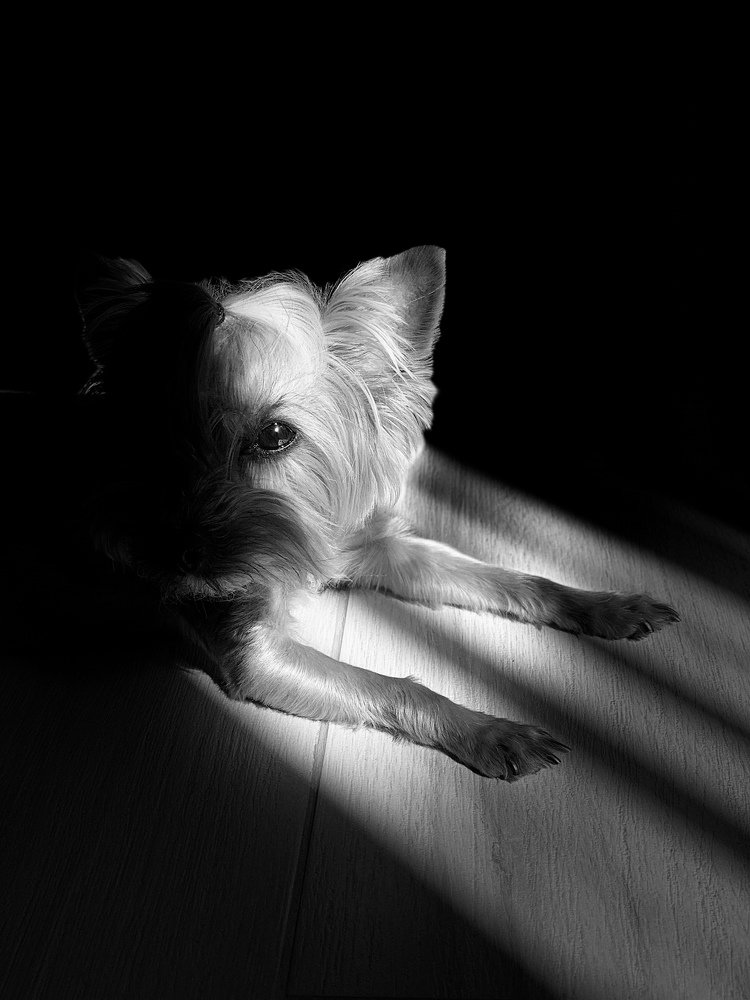 Photograph by Olesya Nechukhaeva