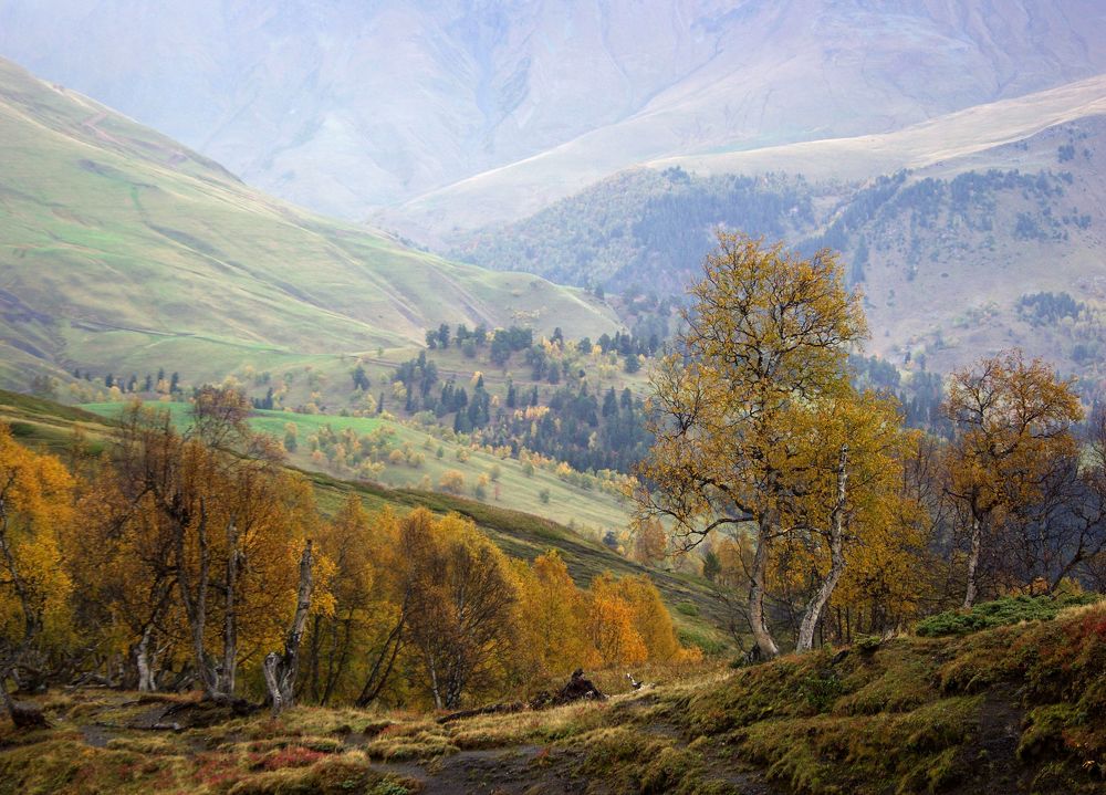 Изгибы осени ...