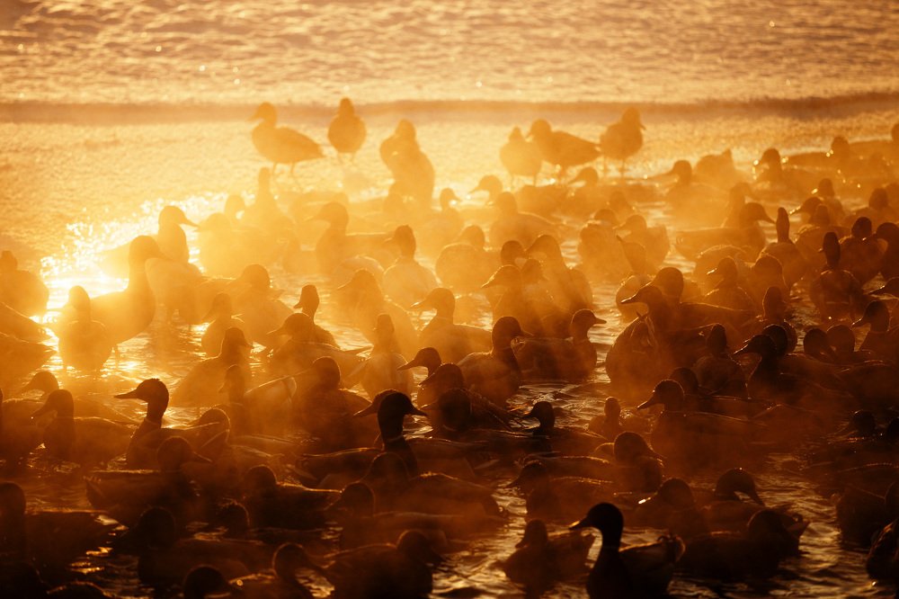 Утренняя планёрка