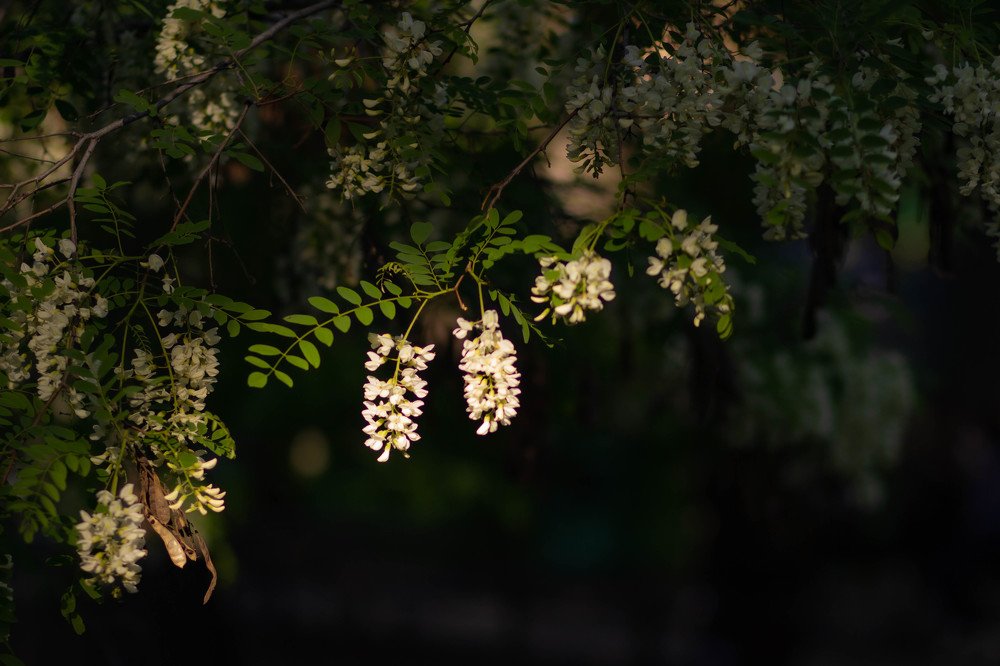 Photograph by Елена Кулакова