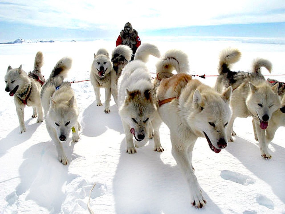 Photograph by Ольга Рогова