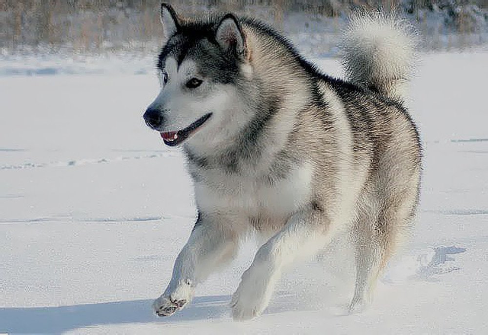 Photograph by Ольга Рогова