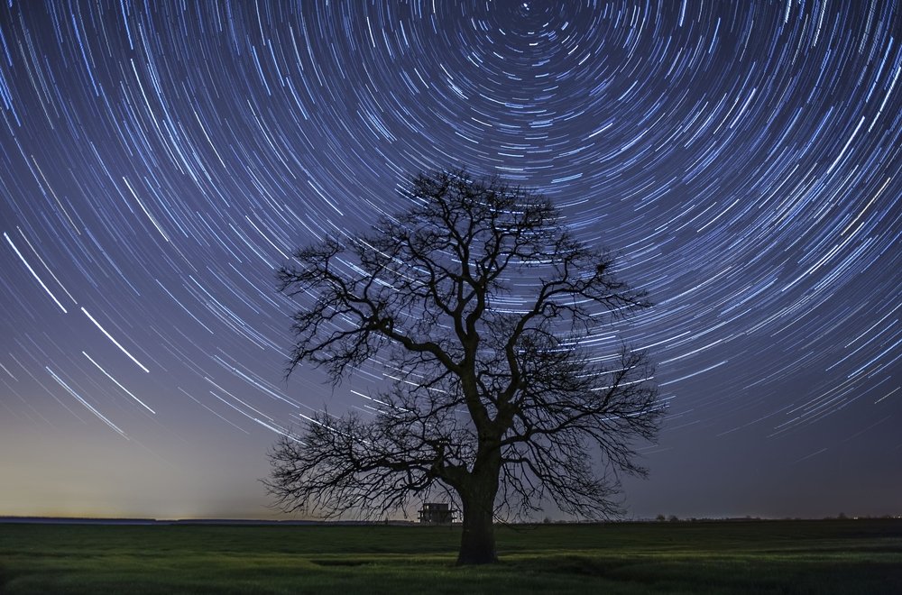 Photograph by Luca Arsinel