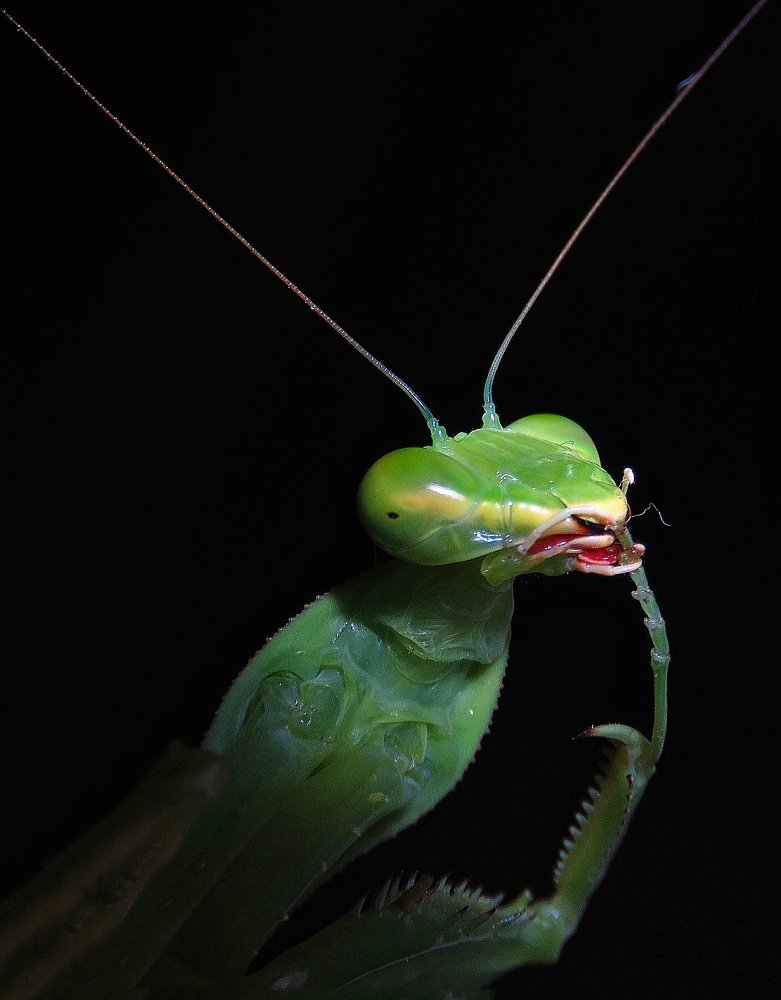 Photograph by Amin Ghaffarian